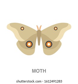 Moth flat icon on white transparent background. You can be used moth icon for several purposes.