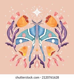 Moth and floral motifs, pattern design in symmetry. Colorful flat vector illustration with moth, flowers, floral elements and stars.