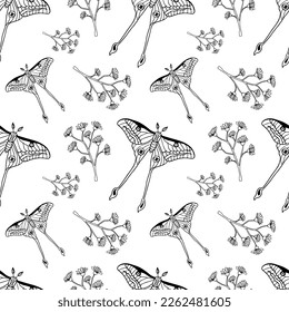 Moth and floral seamless pattern. Modern witchcrafts black outline vector illustration. Trendy spirituality line art.