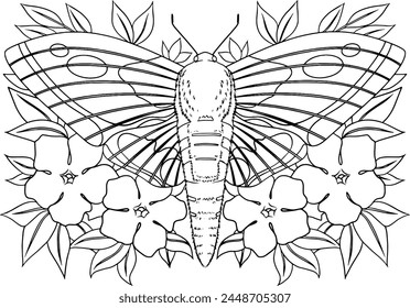 Moth with flowers composition colorin page for adults and children lineart