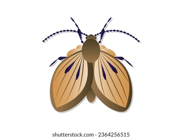 Moth Fly Insect Vector Art isolated on White Background