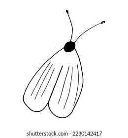 moth hand drawn in doodle style. insect. monochrome icon, sticker