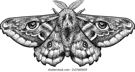 Moth with human eyes illustration, drawing, engraving, ink, line art, vector