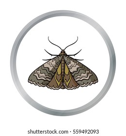 Moth icon in cartoon style isolated on white background. Insects symbol stock vector illustration.