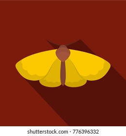 Moth icon. Flat illustration of moth vector icon for web