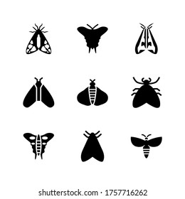 moth  icon or logo isolated sign symbol vector illustration - Collection of high quality black style vector icons
