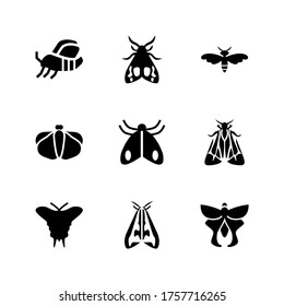 moth  icon or logo isolated sign symbol vector illustration - Collection of high quality black style vector icons

