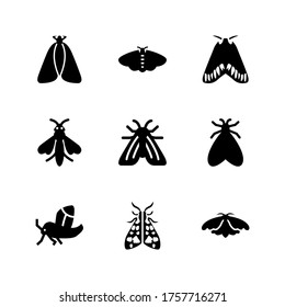 moth  icon or logo isolated sign symbol vector illustration - Collection of high quality black style vector icons
