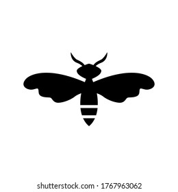 moth  icon or logo isolated sign symbol vector illustration - high quality black style vector icons
