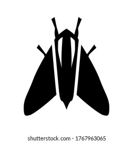 moth  icon or logo isolated sign symbol vector illustration - high quality black style vector icons
