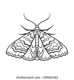 Moth Icon In Outline Style Isolated On White Background. Insects Symbol Stock Vector Illustration.