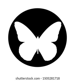 moth icon - From pets, vet and veterinary icons, Animal icons