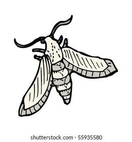 moth illustration