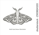 Moth illustration. Moth vintage illustration. Moth hand drawn illustration in vintage engraving style. Moth sketch