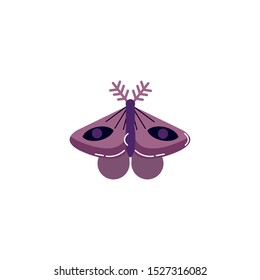 moth insect animal isolated icon vector illustration design