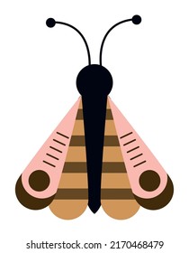 moth insect garden spring icon
