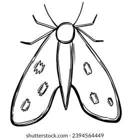 insecto de polilla en forma de doodle dibujado a mano. Ilustración del vector