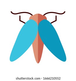 moth insect over white background, flat style icon, vector illustration