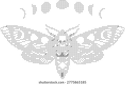moth insect wings retro halftone dither nature nocturnal creature biology specimen animal wingspan flying garden