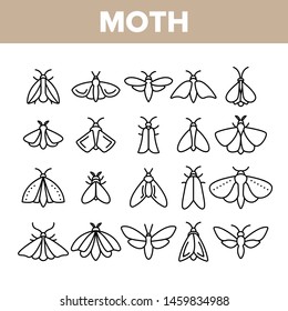 Moth, Insects Entomologist Collection Vector Linear Icons Set. Moth Species And Types Outline Cliparts. Flying Insects With Wings Pictograms Collection. Butterflies Thin Line Illustration