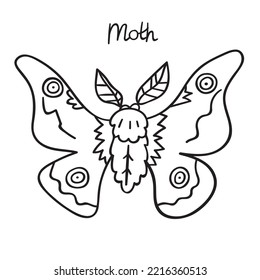 Moth. Insects. Outline illustration. Hand drawn graphic design.