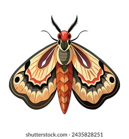 Moth isolated illustration on white background