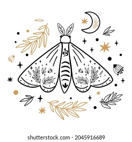 Moth isolated on white. Celestial moth. Hand drawn butterfly, moon, stars, floral branches. Moths tattoo. Vector illustration. Celestial line art decor, poster, card design. Magic celestial element.