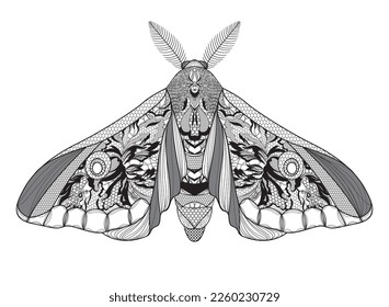 Moth. Lace floral pattern on the wings. Vector illustration