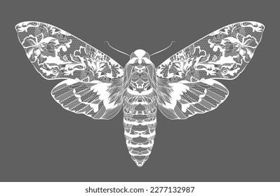 Moth. Lace floral pattern on the wings. Vector illustration