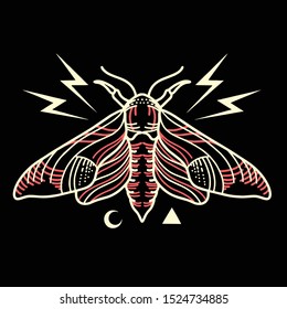 moth line art tattoo vector