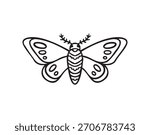 Moth, monochrome line art hand drawn style. Vector illustration.