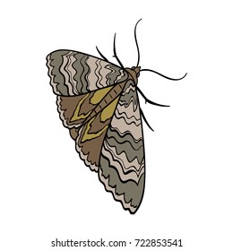 Moth, night butterfly. Insect pest moth single icon in cartoon style vector symbol stock isometric illustration web.