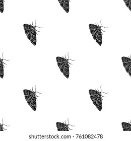 Moth, night butterfly. Insect pest moth single icon in black style vector symbol stock isometric illustration web.
