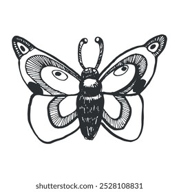 Moth, night butterfly, magic butterfly hand drawn with black ink on a white background. Vector illustration. Suitable for Halloween decor, cards, invitations, printing on fabric and paper.