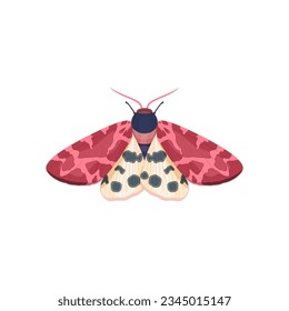 Moth, night butterfly. Vector illustration of colorful insect on a light background.