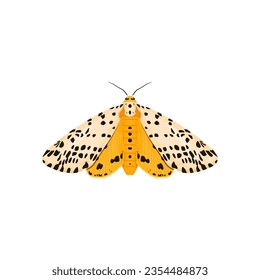 Moth, night butterfly. Vector illustration of colorful insect on a light background.