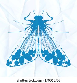 Moth on crumpled paper. Vector illustration