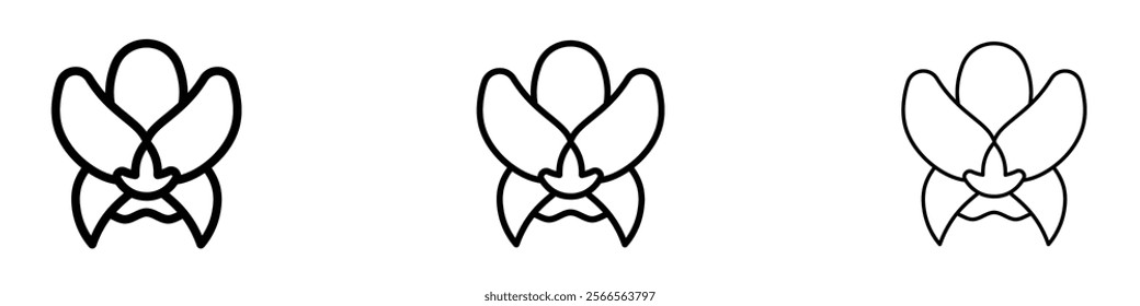 Moth orchid icon in tree different line stroke sizes.