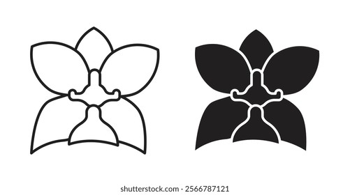 Moth orchid vector line icon illustration