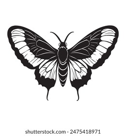 Moth outline and symbols. Dark level variety basic exquisite white foundation Moth birds vector and silhouette icon.