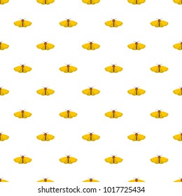 Moth pattern seamless in flat style for any design