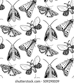 Moth seamless pattern. Hand drawn illustration of flying insects. Black and white sketches