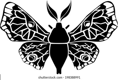 Moth silhouette 