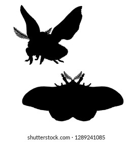 Moth silhouette. Black white icon of bloodworm. Vector illustration. Logo desing