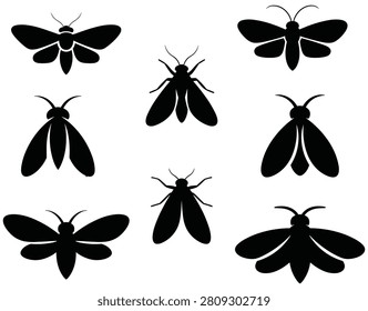 Moth silhouettes on a white background insect vector graphics