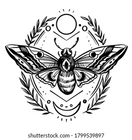 Moth. Sketch illustration. Print design. Hand drawn converted to vector