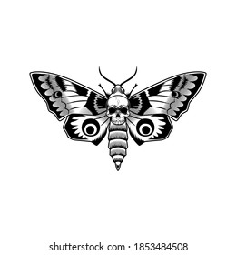 Moth with skull vector illustration. Monochrome butterfly with death symbol. Insect or gothic culture concept emblems and tattoo templates