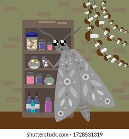 
Moth is stocked with groceries