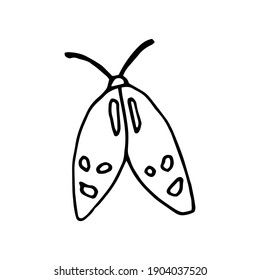 moth in the style of doodle on a white background.