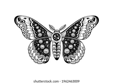 Moth tattoo. Butterfly vector black art. Universe wing moth. Celestial occult moon sketch. Line animal drawing design. 